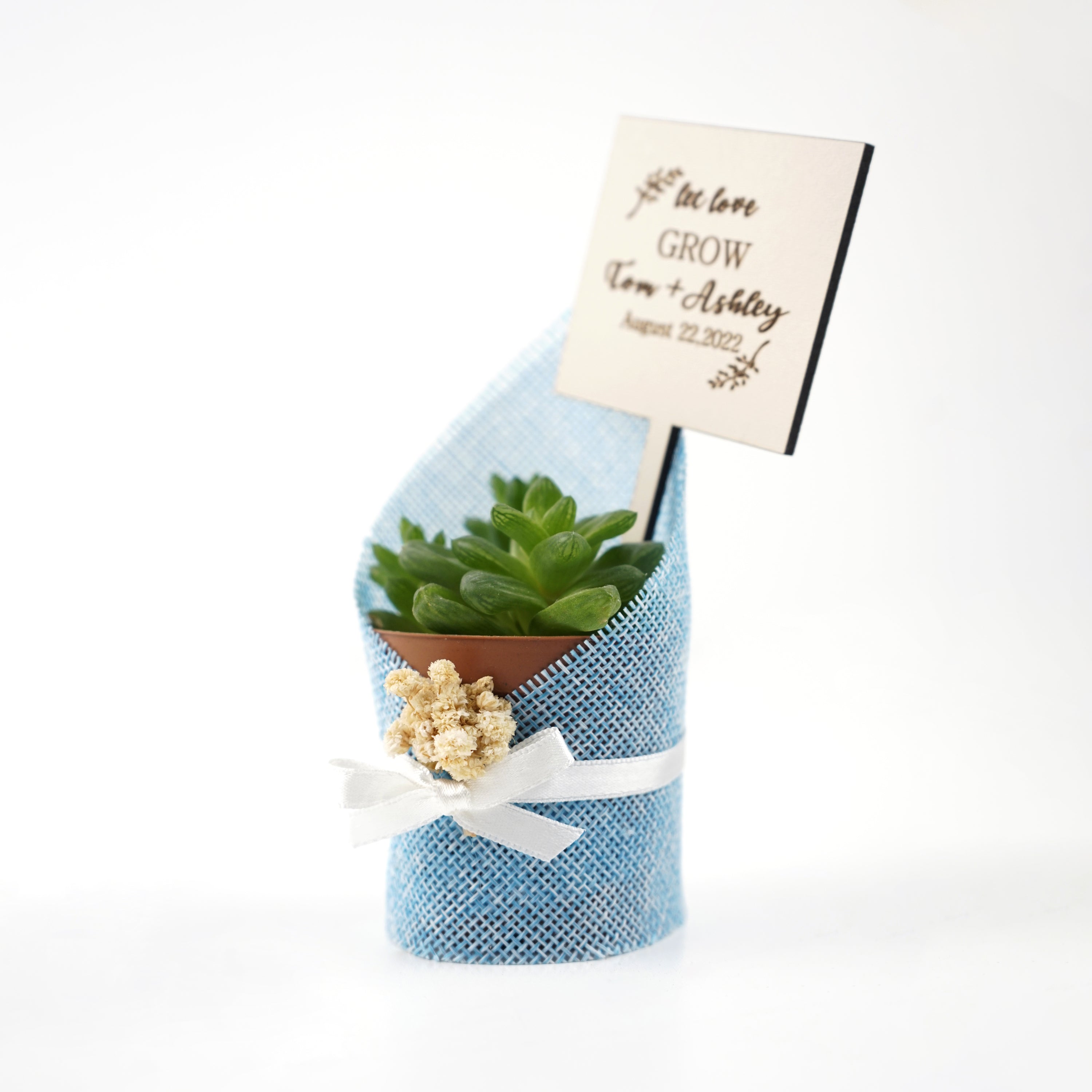 Wedding favours Burlap live Succulent with dried flowers and customized tag