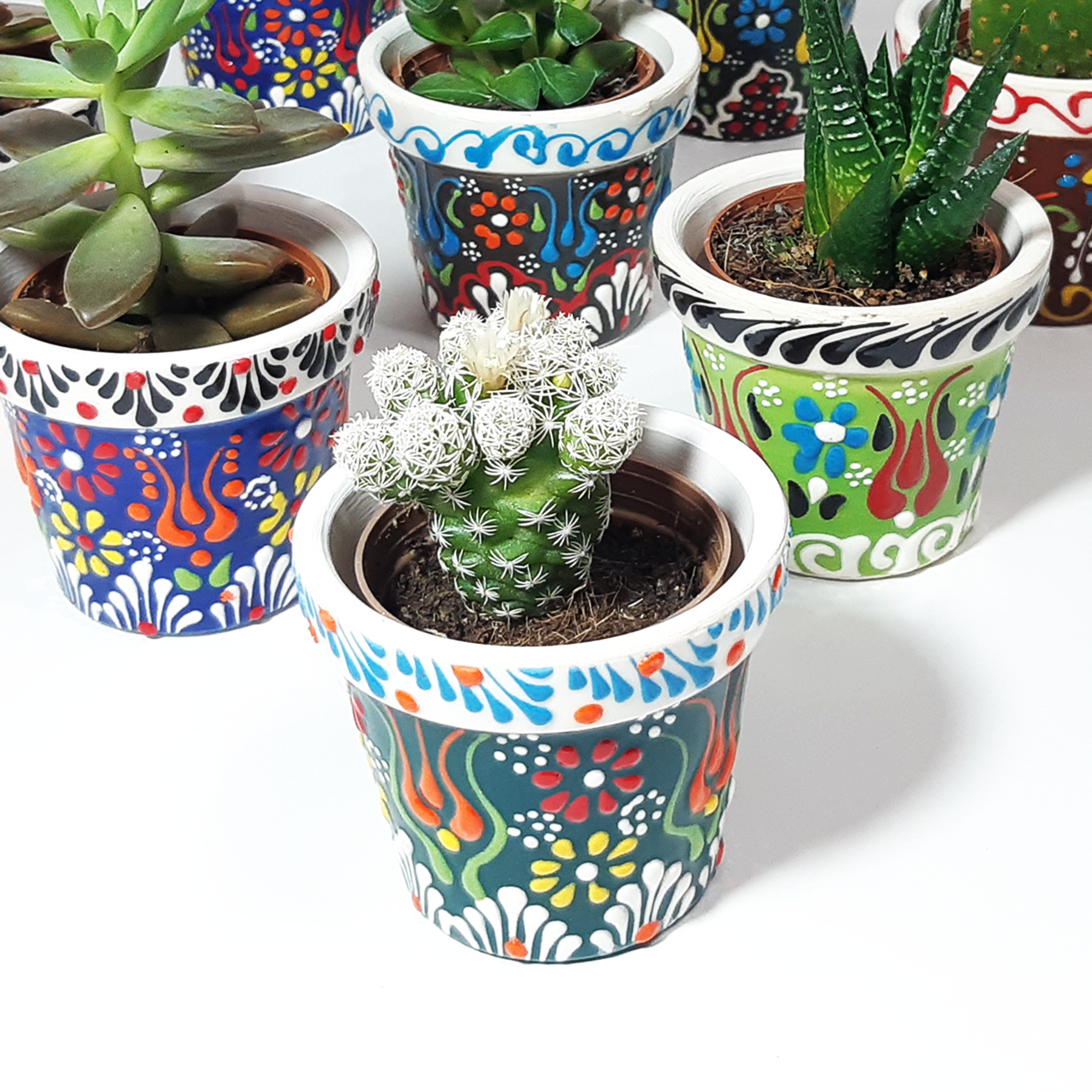 Wedding favours Ceramic Succulent Pots for Bridal Shower gifts Guest bulk