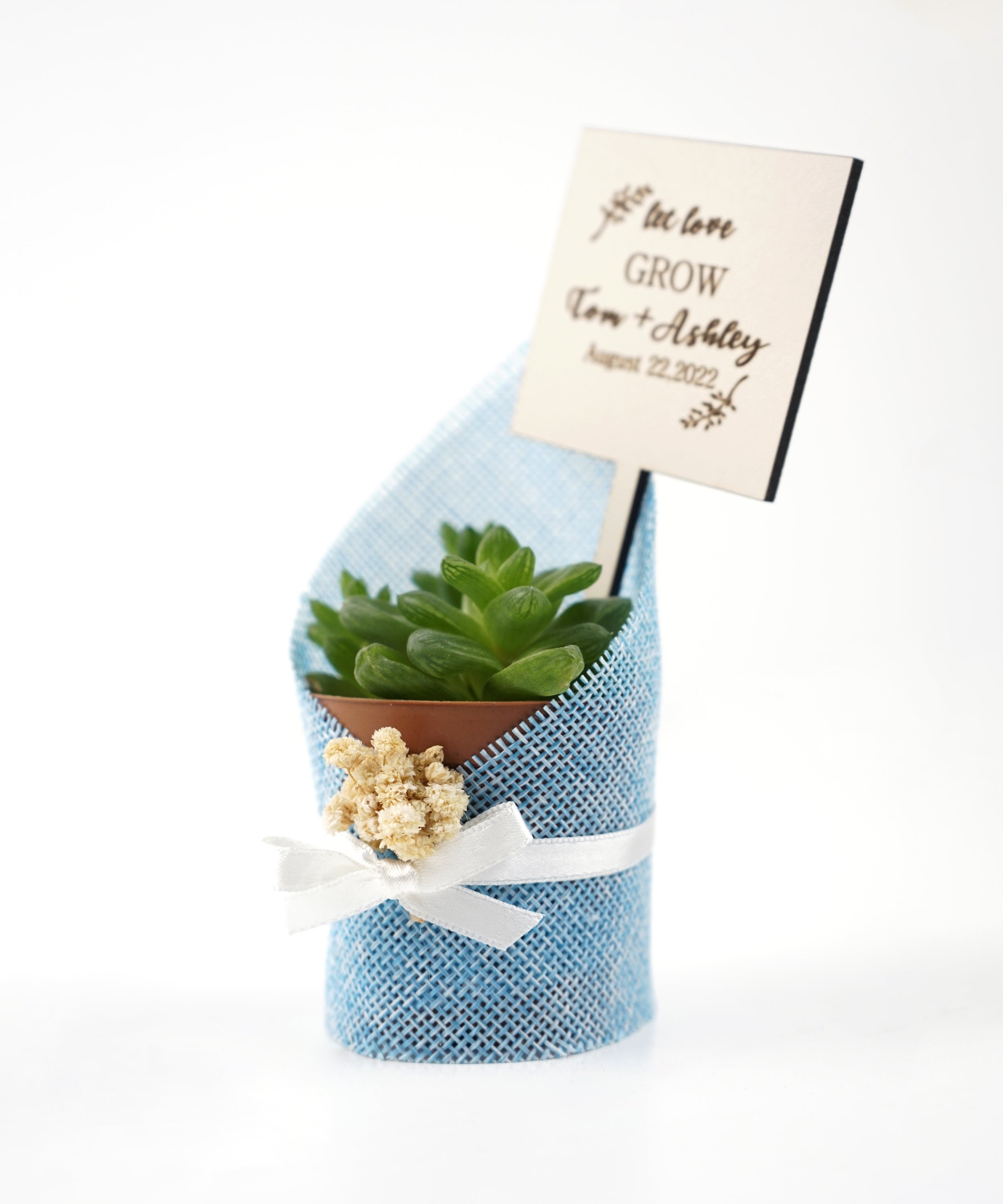 Wedding favours Burlap live Succulent with dried flowers and customized tag