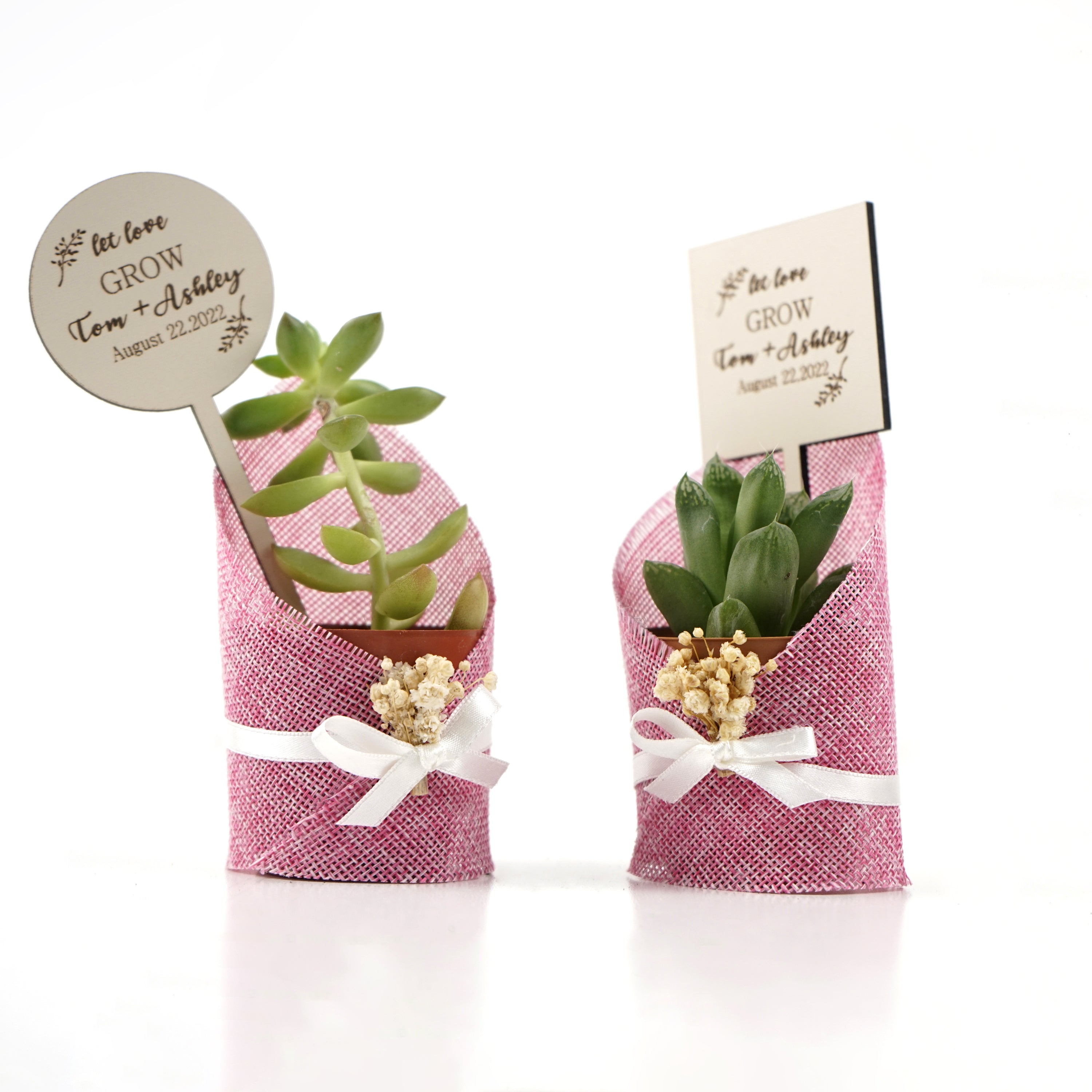 Wedding favours Burlap live Succulent with dried flowers and customized tag