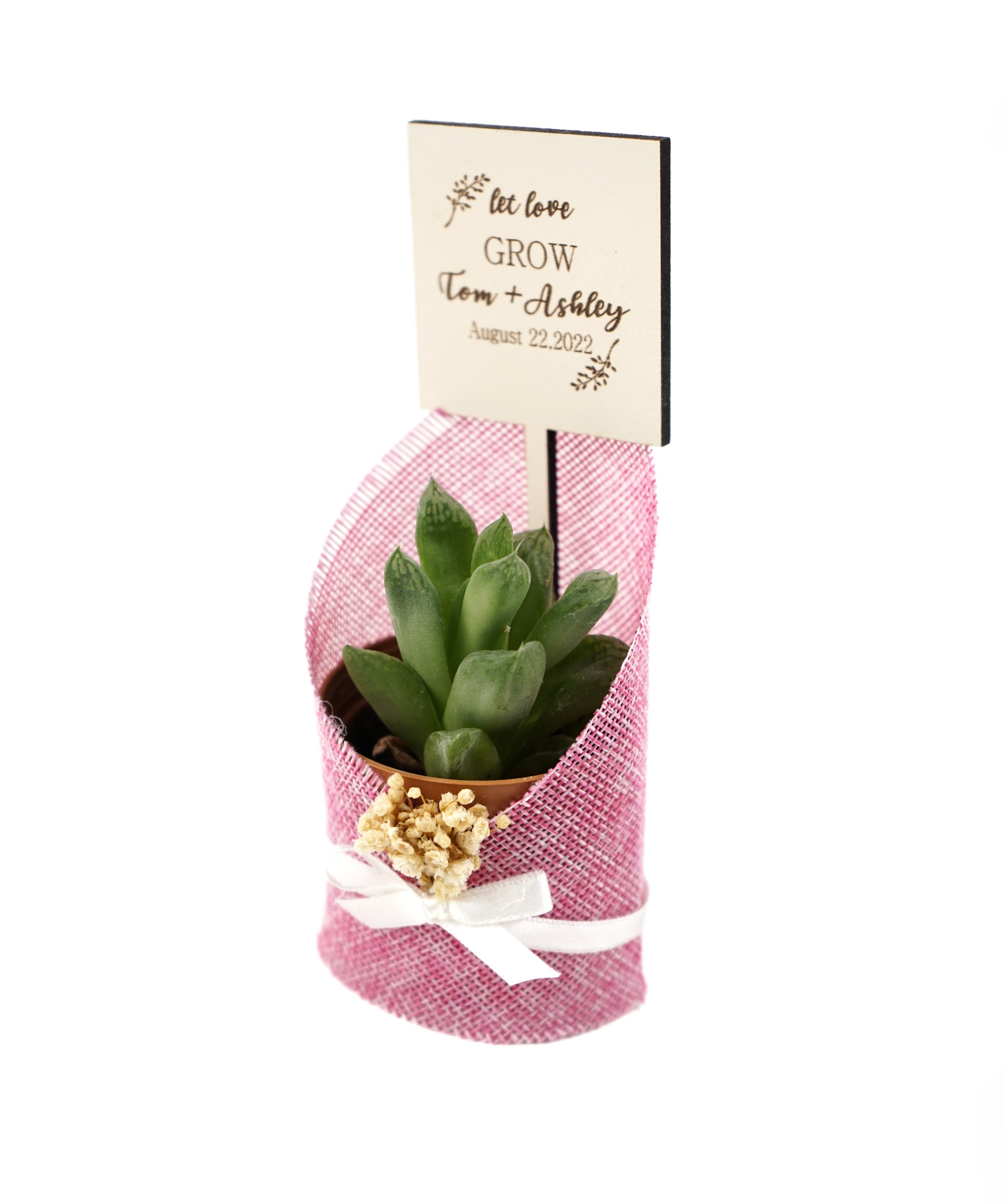 Wedding favours Burlap live Succulent with dried flowers and customized tag