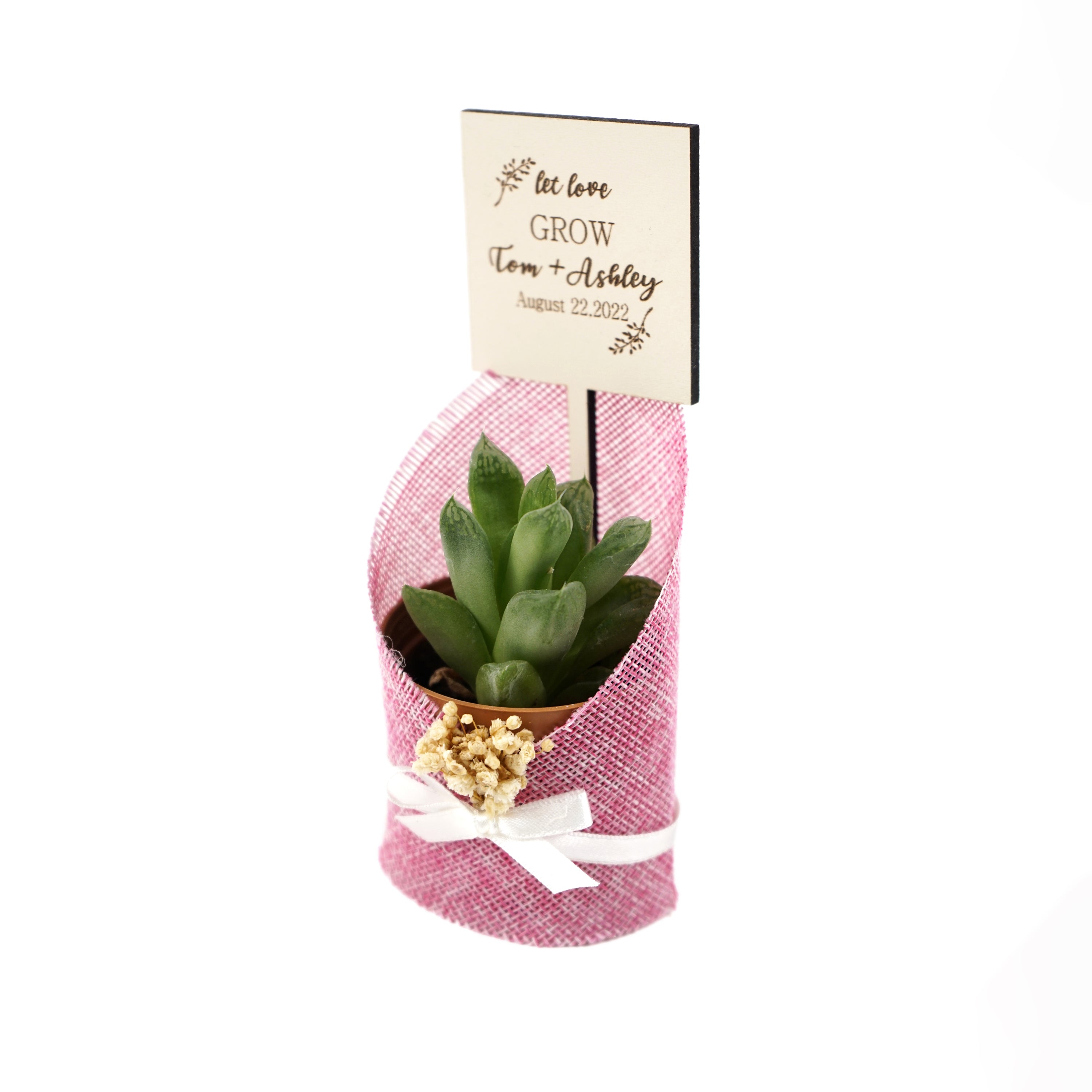 Wedding favours Burlap live Succulent with dried flowers and customized tag